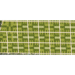 Terrenos agroinmobiliarios Pitahaya de 193 a 248 m²
