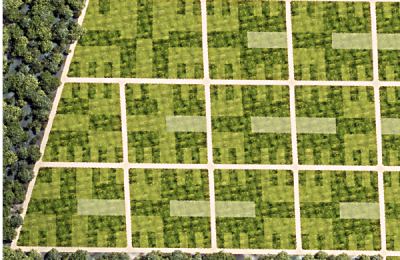 Terrenos agroinmobiliarios Pitahaya de 193 a 248 m²