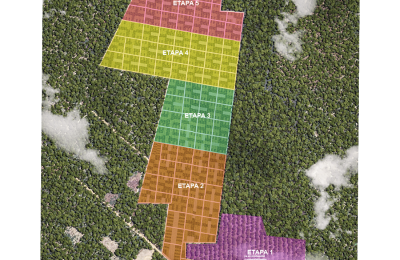 Terrenos agroinmobiliarios Pitahaya de 599 a 601 m²